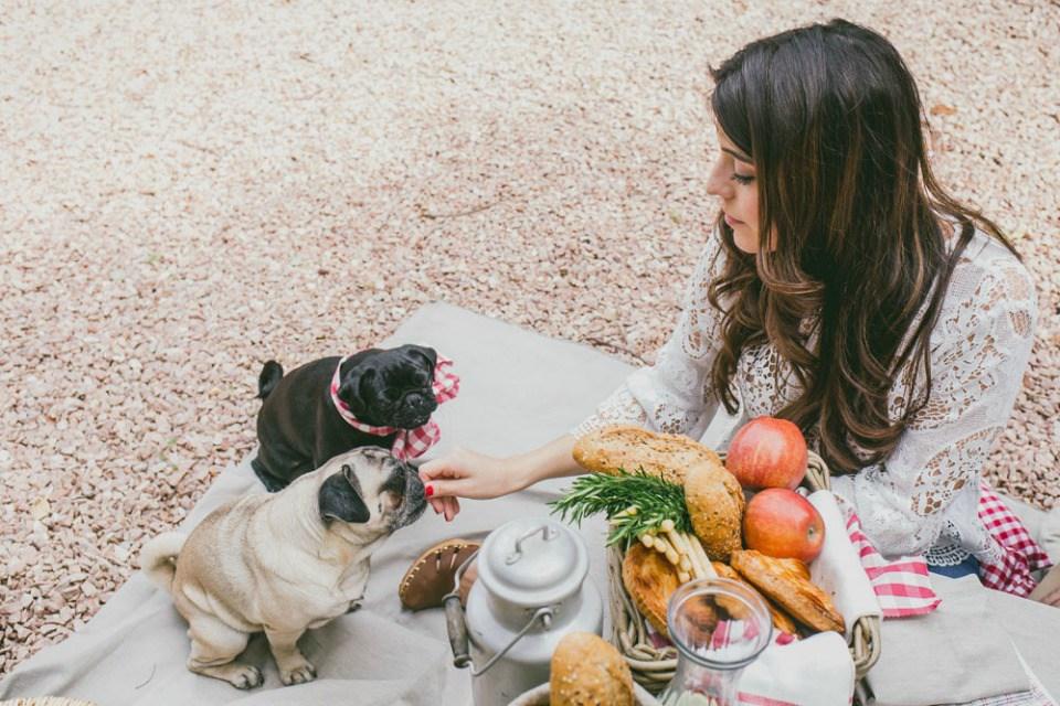 Una preboda silvestre en All Lovely Party