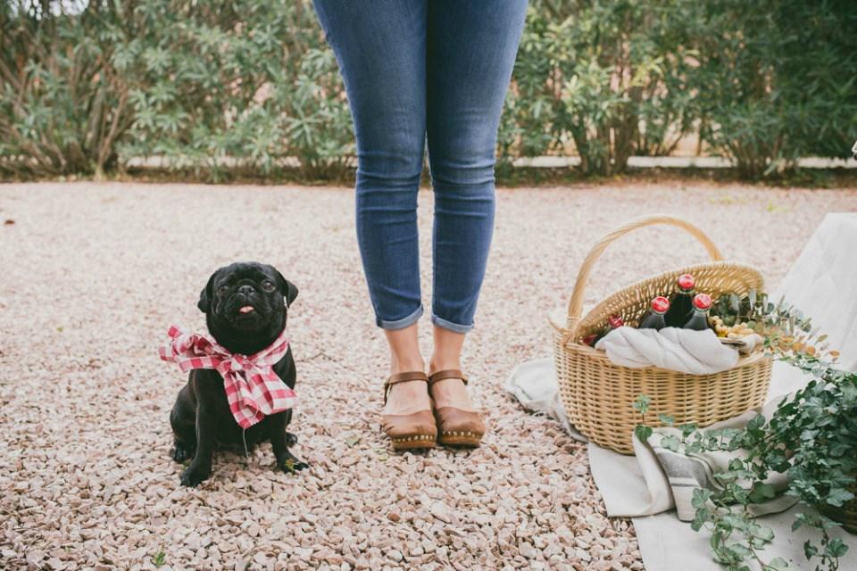 Una preboda silvestre en All Lovely Party