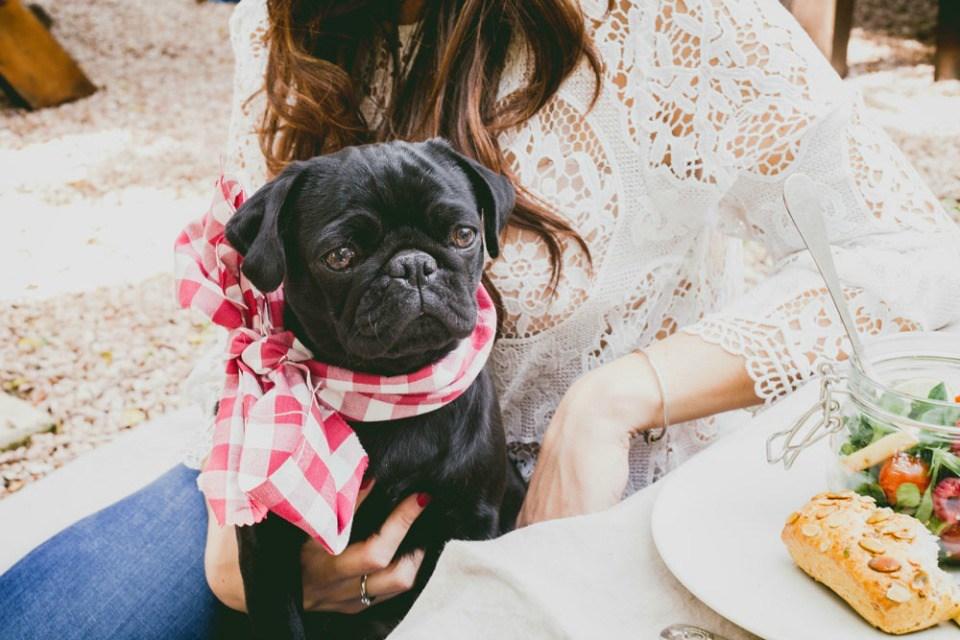 Una preboda silvestre en All Lovely Party