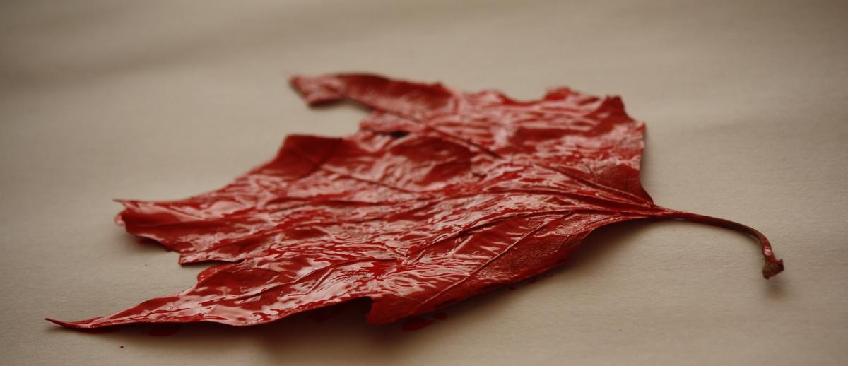 hoja roja