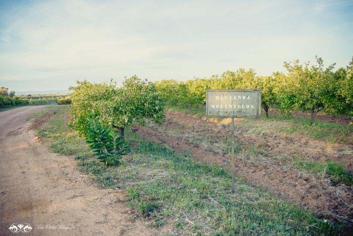 Boda de destino en Toscana hacienda los molinillos