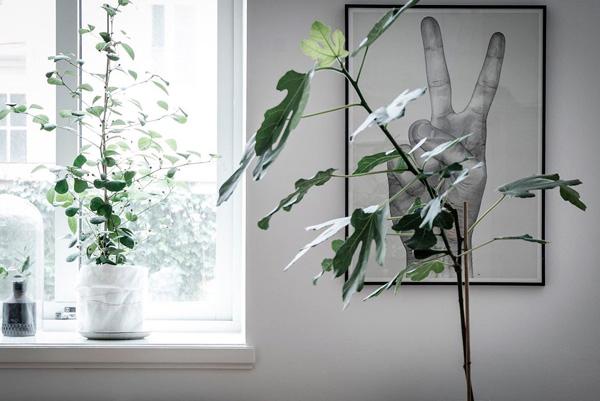 AllYourSites-Lampara-Koushi-8