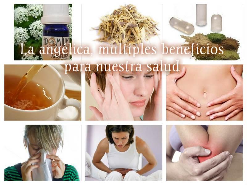 Collage_Angelica (Copiar)