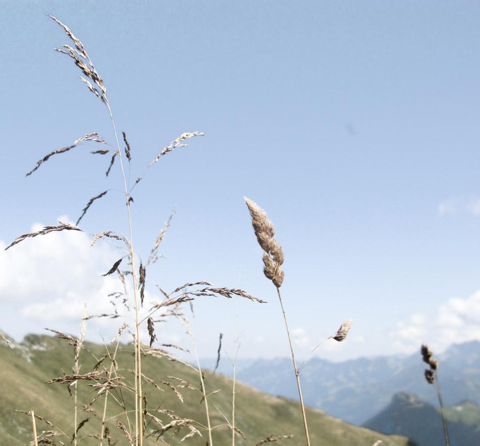 una idea para el día de la tierra
