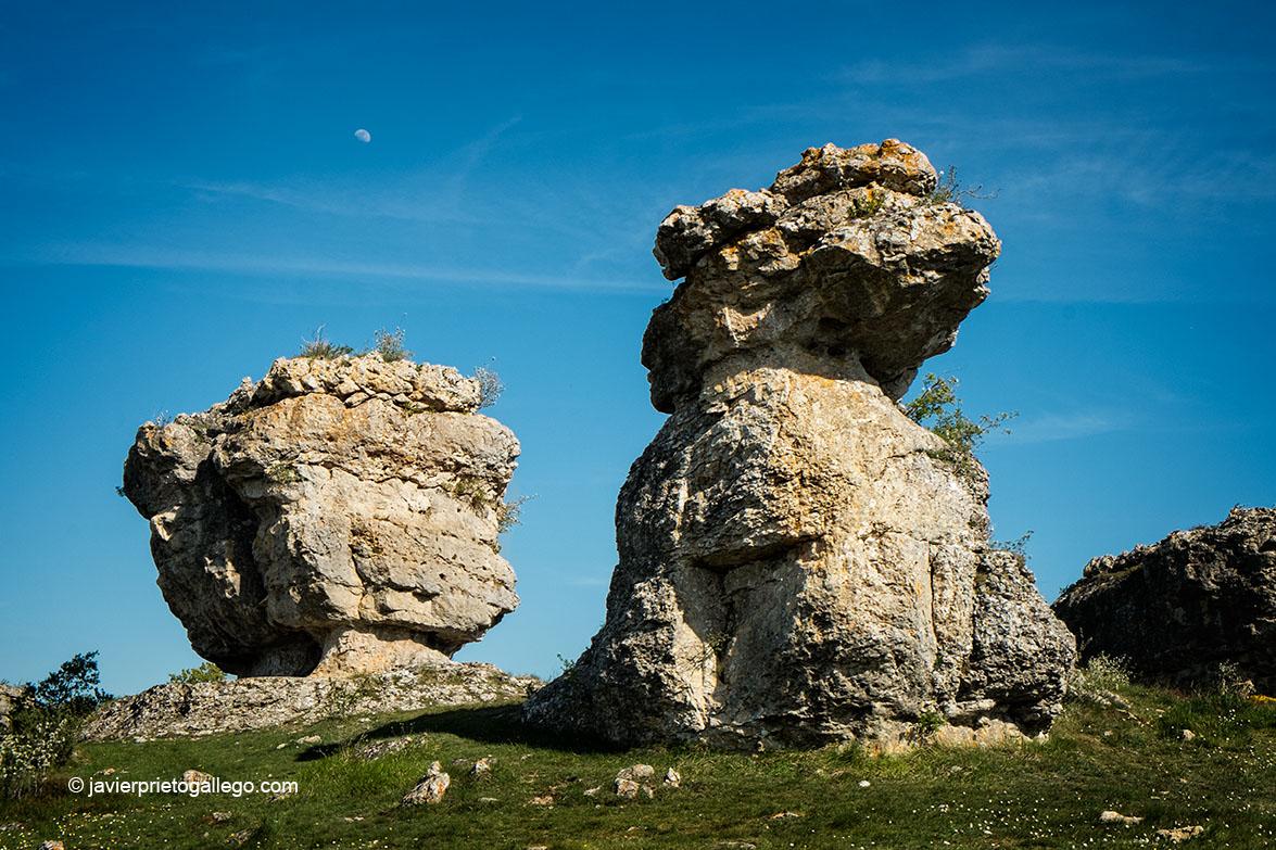 El desgaste sobre algunas peñas sugieren la forma de gigantescos animales. Monumento Natural de Las Tuerces. Palencia. Castilla y León. España. © Javier Prieto Gallego