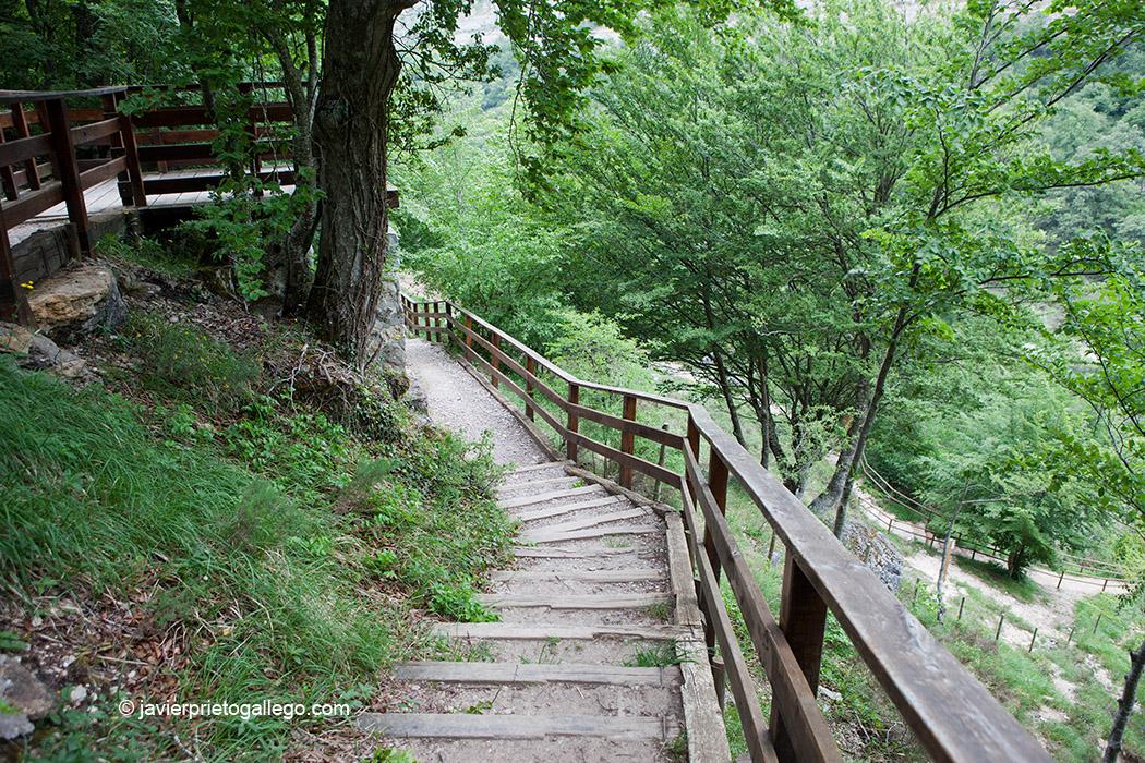 Pasarelas de madera y miradores que recorren el espacio natural de Covalagua. Palencia. Castilla y León. España. © Javier Prieto Gallego