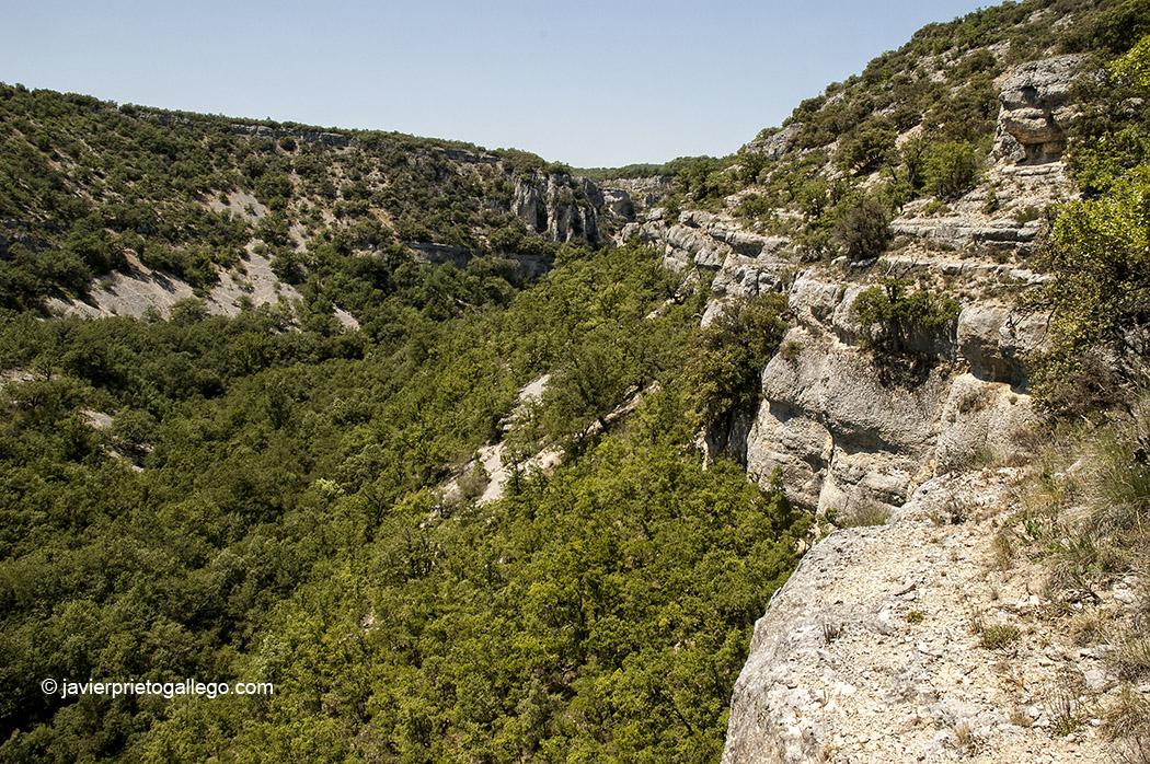 Los cañónes del Rudrón. Burgos. Castilla y León. España © Javier Prieto Gallego