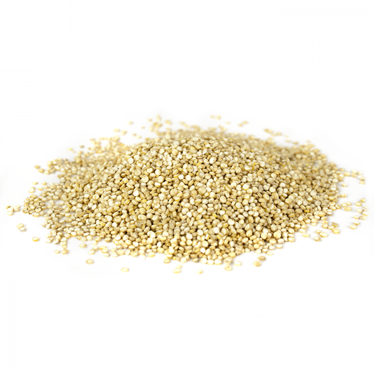 Semillas de la quinoa el pseudocereal