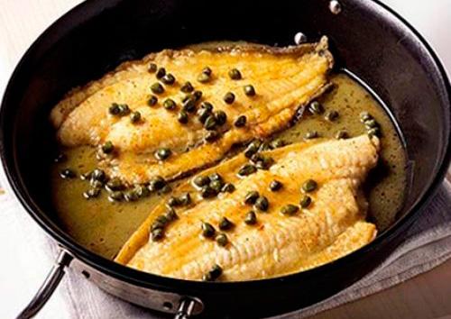 Propiedades Pez Gallo