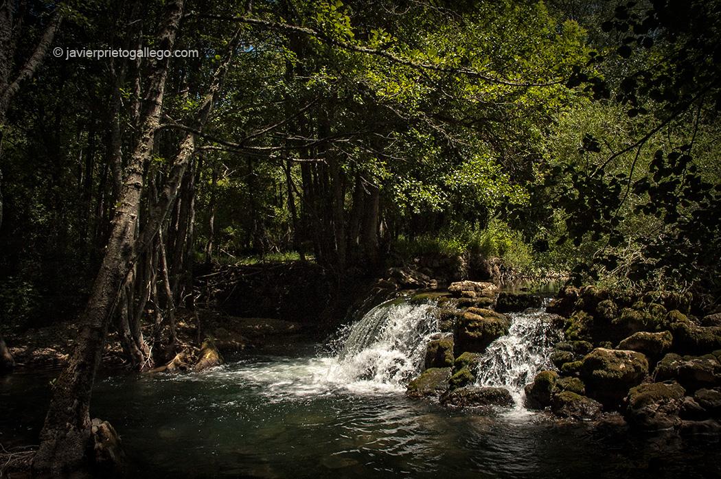 Cañón del Rudrón. Burgos. Castilla y León. España © Javier Prieto Gallego