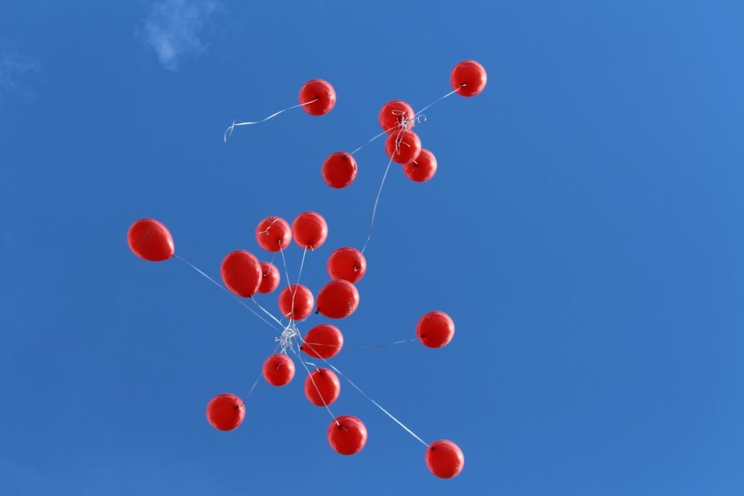 42 petit walking tour show madrid www.decharcoencharco.com