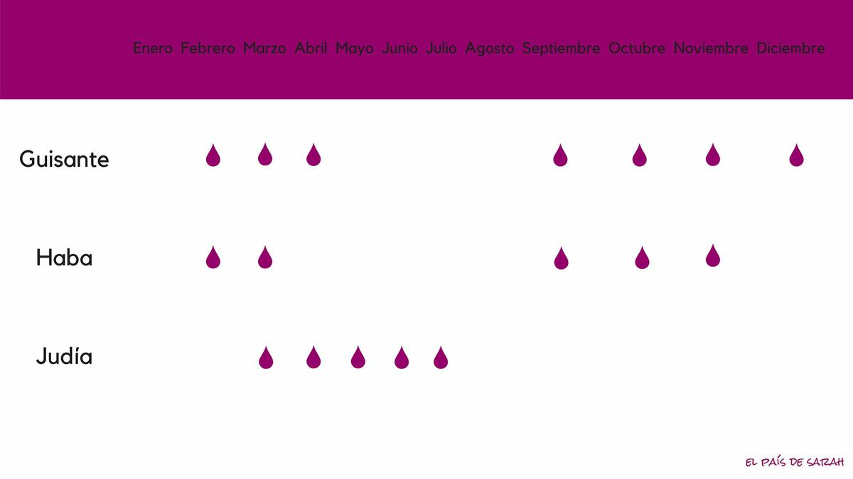Calendario de siembra para legumbres