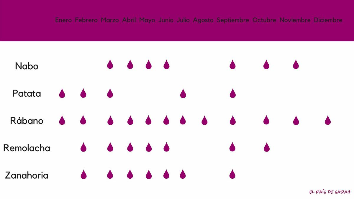Calendario de siembra para raíces