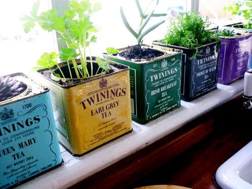 Latas de te reutilizadas para crear una zona verde