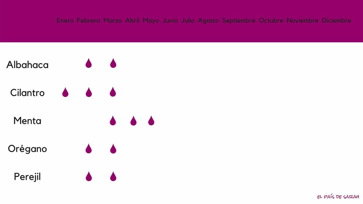 Calendario de siembra para plantas aromáticas