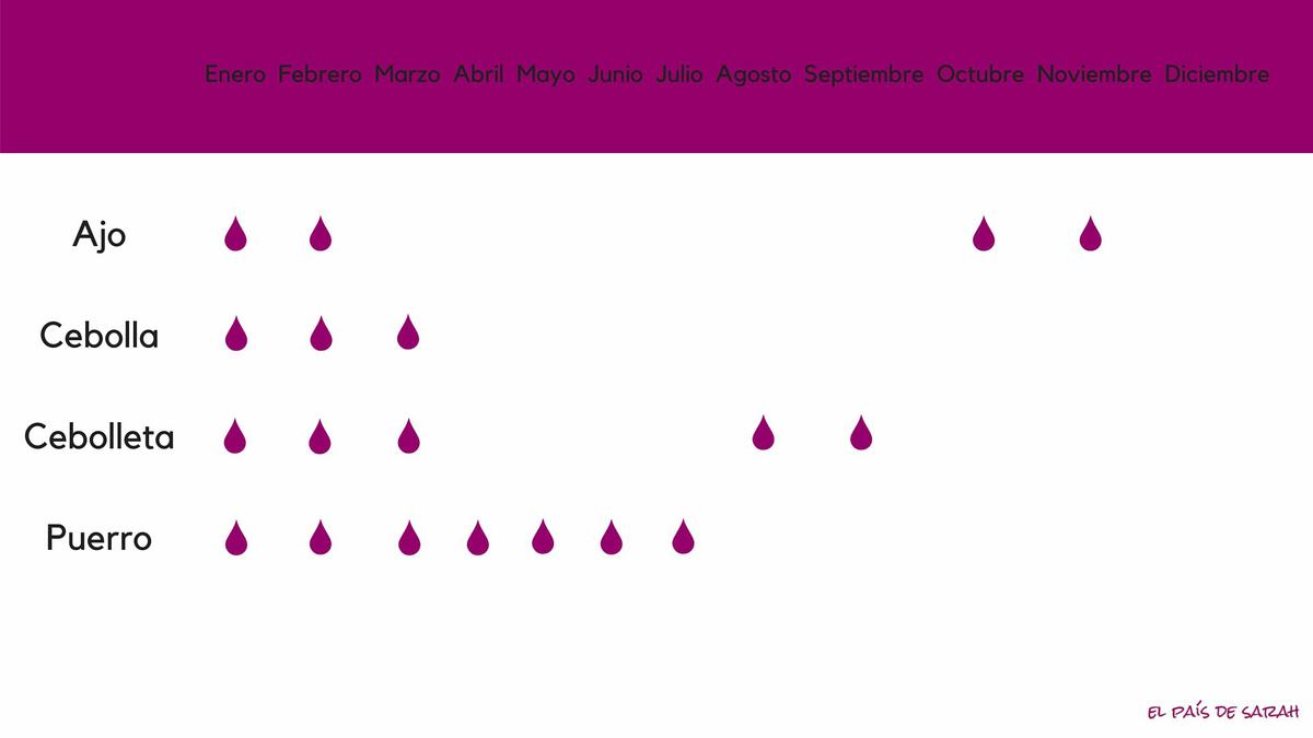 Calendario de siembra para bulbos