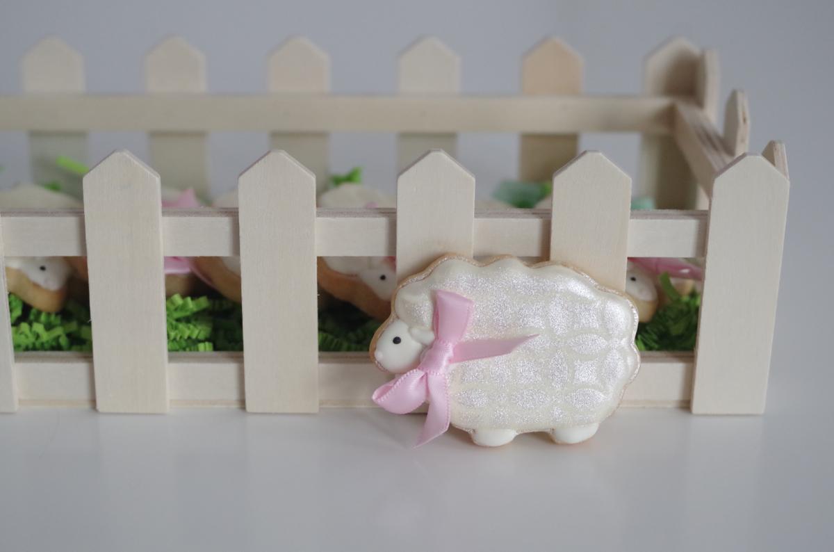 doctorcookies galletas primavera (4)