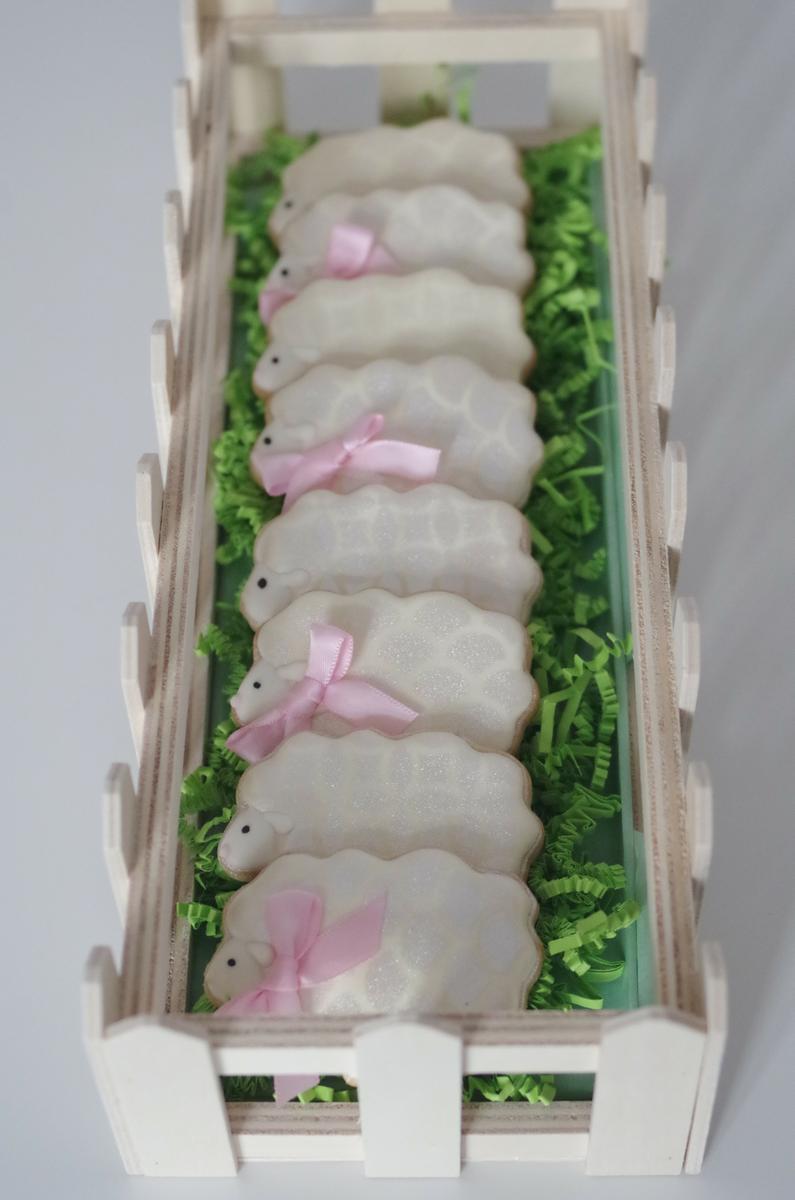 doctorcookies galletas primavera (2).JPG