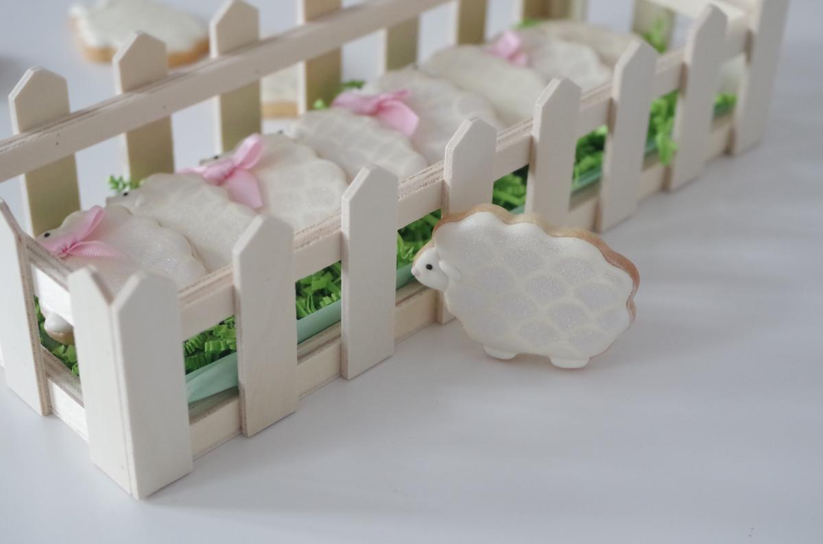 doctorcookies galletas primavera (6)