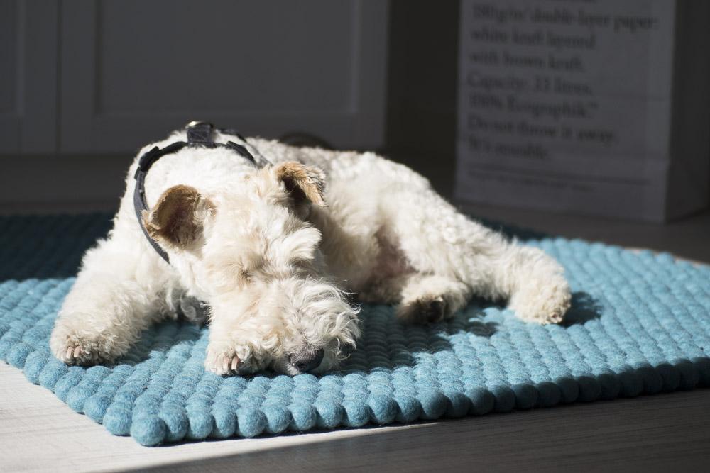 alfombra_sukhi_casamya_blog_ana_pla_interiorismo_decoracion_7