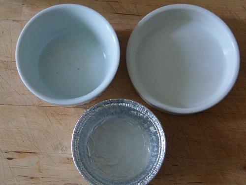 ??????????????????????