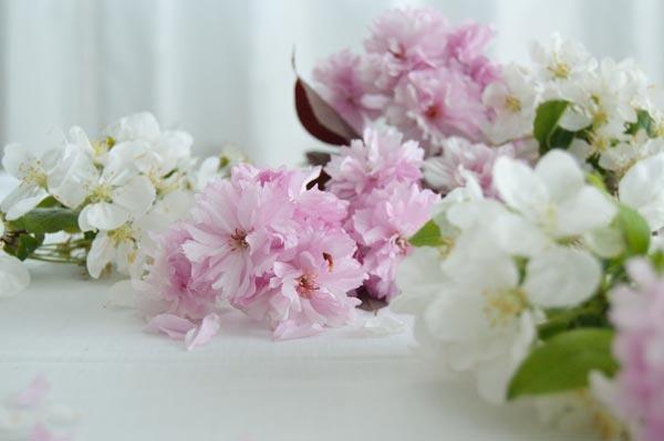 AllYourSites-DESCARGABLE MAYO-2