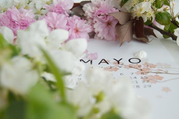 AllYourSites-DESCARGABLE MAYO-3