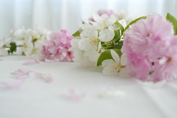 AllYourSites-DESCARGABLE MAYO-4