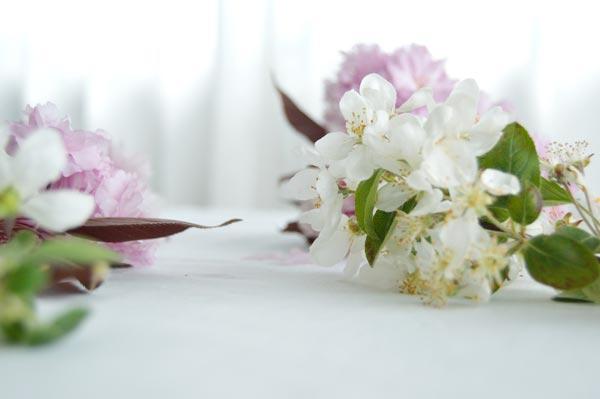 AllYourSites-Descargable-Mayo-6