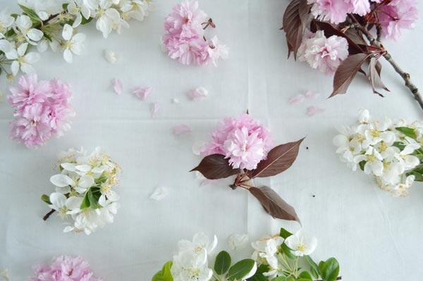 AllYourSites-Descargable-Mayo-7