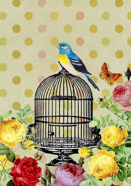 liberarme de la adiccion a la comida