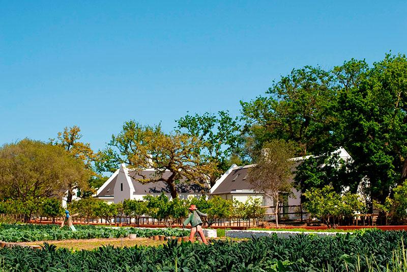 Homelifestyle-Magazine-Farm-Hotel-Babylonstoren