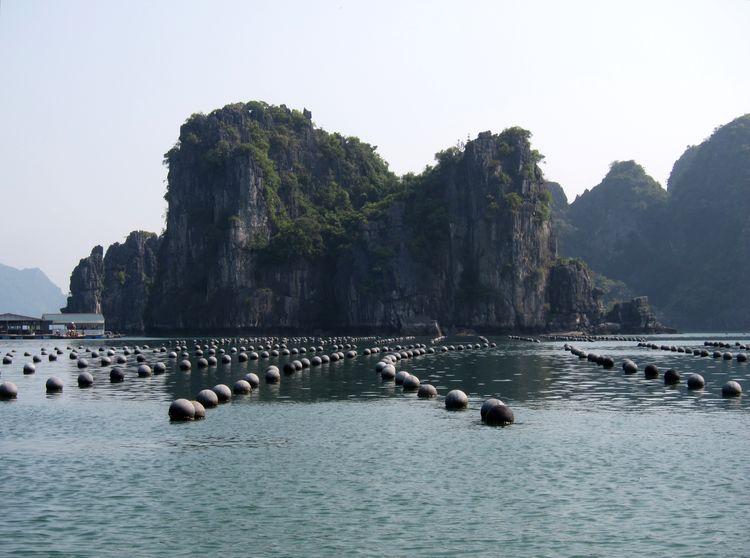 vietnam-20-21-bahia-de-halong-50