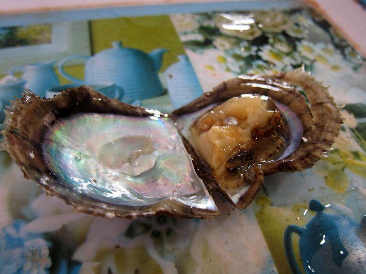 vietnam-20-21-bahia-de-halong-53