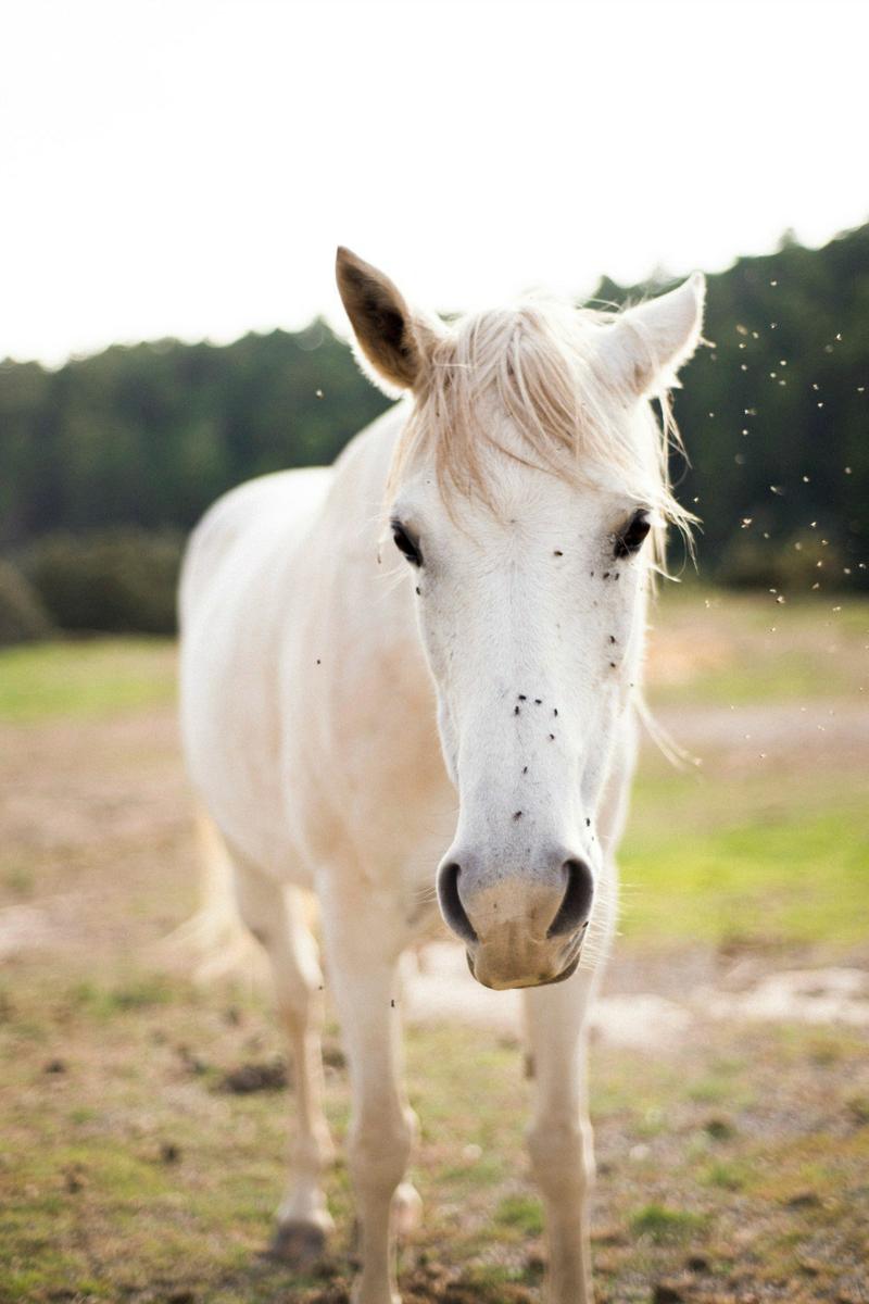 Una boda desenfadada en All Lovely Party