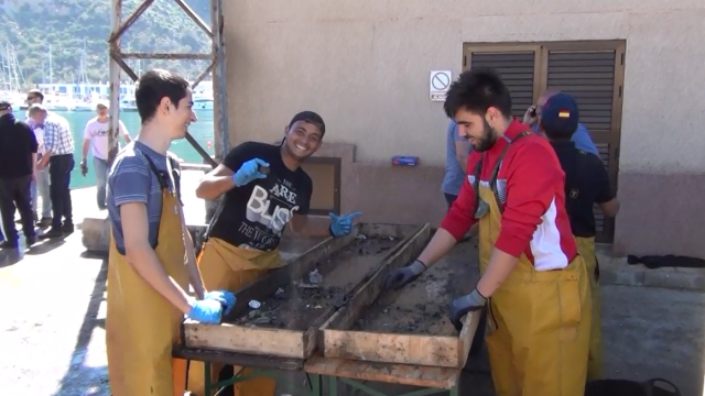 recicladocreativo limpieza del puerto de calpe