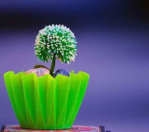 mas macetas recicladas