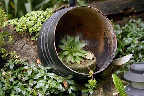 mas macetas recicladas