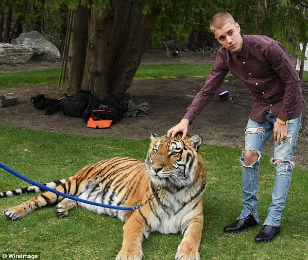 justin bieber peta