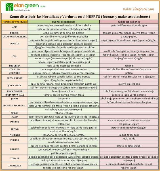 Tabla para distribuir las hortalizas