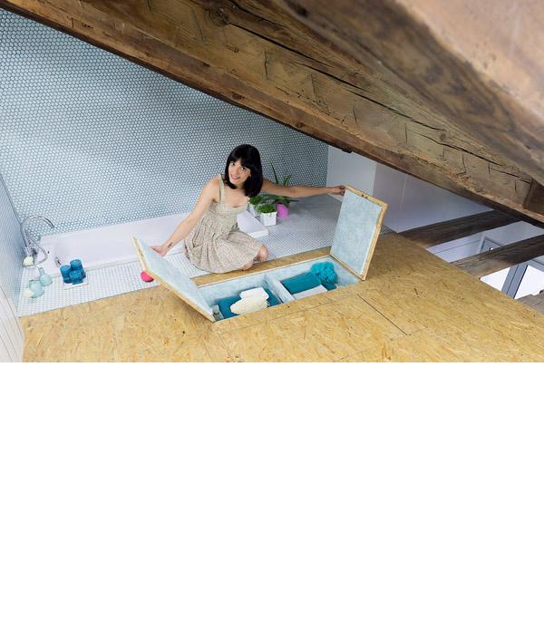 (English) didomestic