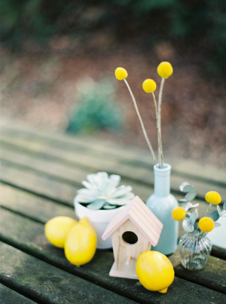 Una fiesta dulce en un merendero 