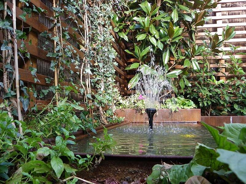 Jardines pequeños con estanque