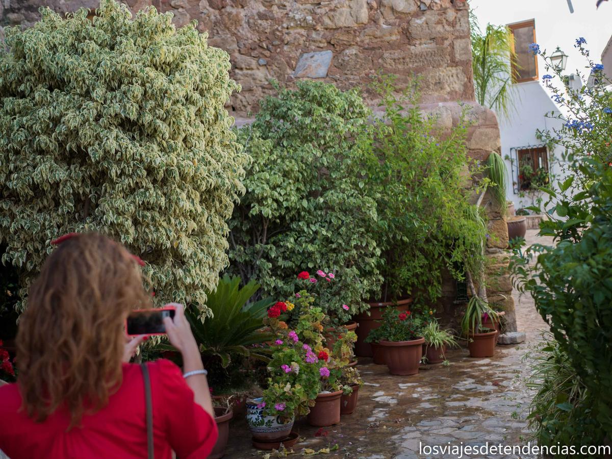Guía para disfrutar de Mojácar