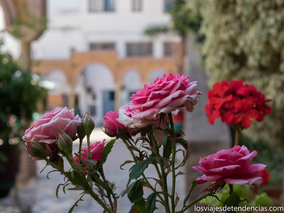 Guía para disfrutar de Mojácar