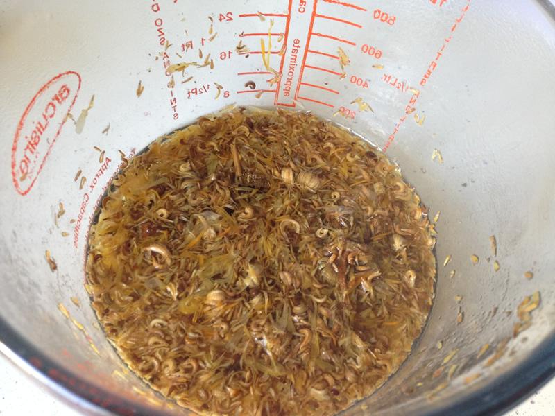 infusion de calendula