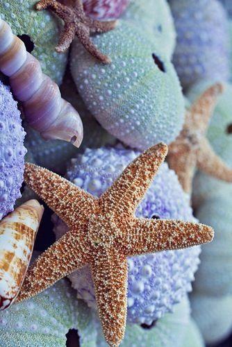 8b710911608d4b5b826077f4b1e7622f