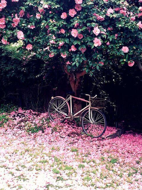 9fd5dc6a6d88ac5431ae22824154bd44