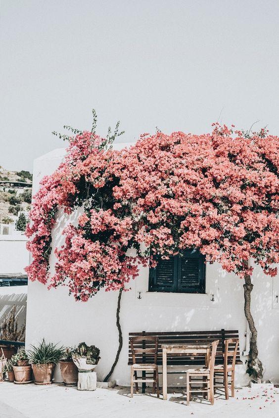 Processed with VSCOcam with a6 preset