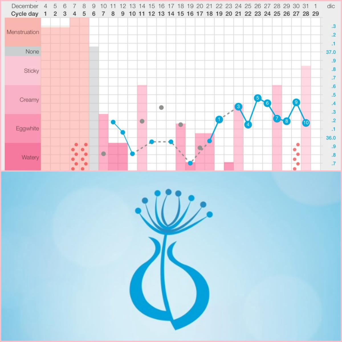 Lindara - Las mejores apps para quedarte embarazada las mejores apps para conseguir un embarazo y quedarse embarazada